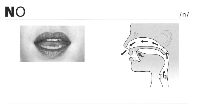 Unit 34: Consonant /n/ (Phụ âm /n/)