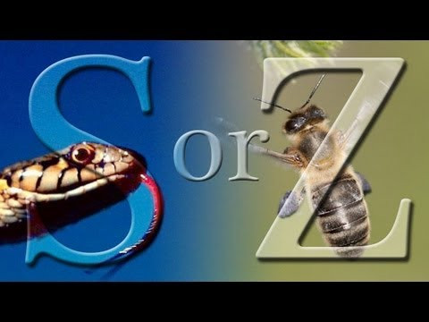 Unit 29: Consonant /s/ & /z/