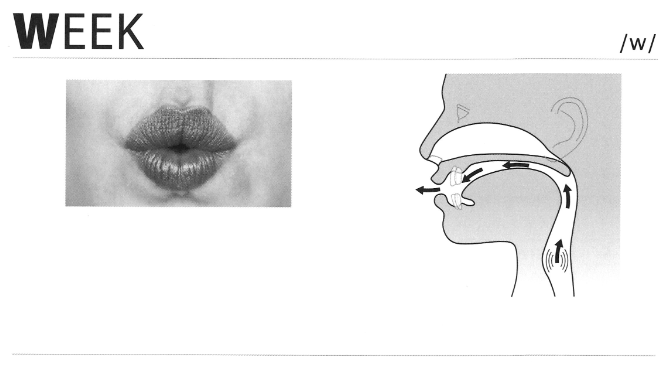 Unit 39: Consonant /w/ (Phụ âm /w/)